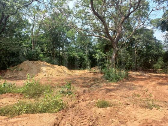 Land for sale in Anuradhapura