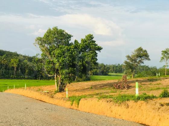 Land for sale in kosgoda