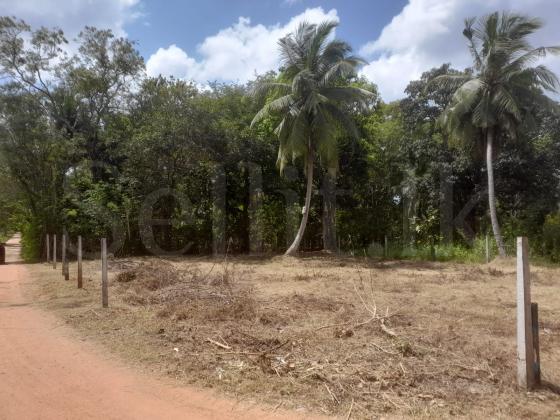 land for sale in Anuradhapura