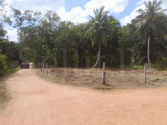 land for sale in Anuradhapura