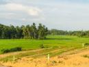 Available land for sale kosgoda