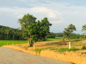 available land for sale in kosgoda