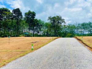 Land for sale in meepe